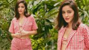 Liger Babe On Fire: Ananya Panday looks drop-dead gorgeous in cute boomerang, fans love it