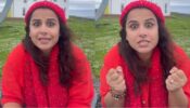 Lol: Vidya Balan to give you toast of hilarity for the weekends, watch video