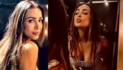 Malaika Arora All Glammed Up For The ICW 2022: Take A Look