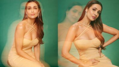 Malaika Arora Looks Breathtaking In Beige Gown look