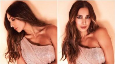 Malaika Arora’s Age-Defying Beauty Secrets, Skin Care, And More