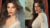 Oh Meri Chandni: Shama Sikander is feeling romantic in white transparent saree, see bedroom video