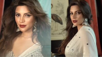 Oh Meri Chandni: Shama Sikander is feeling romantic in white transparent saree, see bedroom video