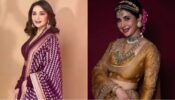 Old Is Gold: Madhuri Dixit and Urmila Matondkar kill it in new Instagram trends, check out