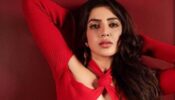 OMG: Is Samantha Ruth Prabhu’s Instagram account hacked after Koffee With Karan Season 7 trailer?