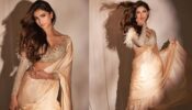 Palak Tiwari Is A Sizzling Indian Diva In This Golden Saree, see pics