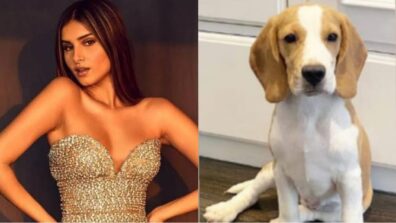 “Please Help”, Tara Sutaria drops missing post of pet doggo Bailey, read