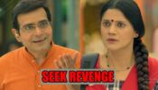 Pushpa Impossible: Bapudra plans to seek revenge from Pushpa