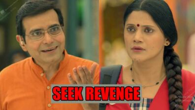 Pushpa Impossible: Bapudra plans to seek revenge from Pushpa