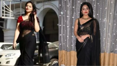 Riddhi Kumar Vs Priyanka Jawalkar: Who Styled The Black Transparent Saree Better?