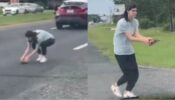 Save The Turtles: Alexandra Daddario is a real-life hero, saves turtle’s life in busy road during honeymoon