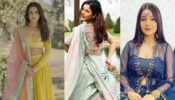 Shehnaaz Gill’s Lehengas Are Perfect For Bridesmaid Style: Yay Or Nay?