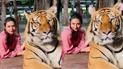 Shocking: Divyanka Tripathi spotted playing with wild, dangerous tiger, video goes viral