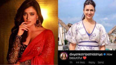 Shweta Tiwari takes internet by storm in new red saree snap, Divyanka Tripathi says, ‘beautiful’