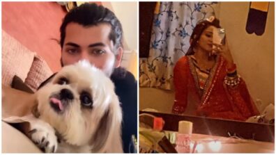 Siddharth Nigam gets playful with his pet dog ‘Wasooli Bhai’, Ashi Singh says, “meet…”