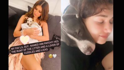 So Cute: Tara Sutaria And Disha Patani Look Adorable With Their Pet Dogs