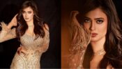 So Stunning: Shweta Tiwari’s embellished ethnic gown calls for ‘gold quest’