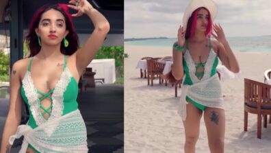 Splitsvilla fame Nikki Raising Temperature On Beach In Green Swimsuit