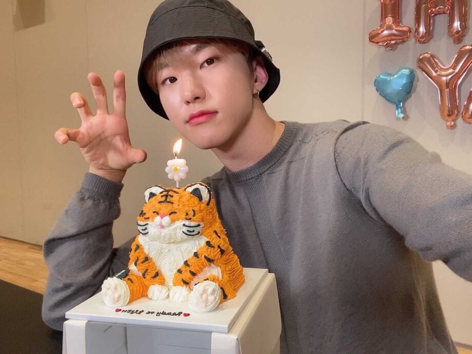 Sweeth Tooth SEVENTEEN Members Have The Cutest Birthday: Check Out These Cakes - 2