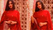 Tera Yeh Ishq: Who is the new ‘prince charming’ in Ritika Badiani’s life?