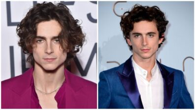 Things You Certainly Didn’t Know About The Oscar-Nominated Actor Timothée Chalamet