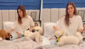 Too Cute: Kriti Sanon can’t stop showering love to her pet dogs, check out