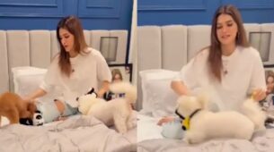 Too Cute: Kriti Sanon can’t stop showering love to her pet dogs, check out