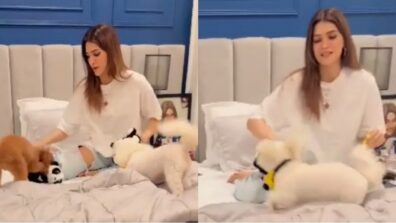 Too Cute: Kriti Sanon can’t stop showering love to her pet dogs, check out