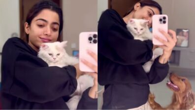 Too Cute To Handle: Rashmika Mandanna showers love on pet dog and cat, netizens can’t keep calm