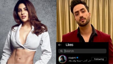 Uff Haye Garmi: Nikki Tamboli flaunts abtastic waist in new photoshoot, Jasmin Bhasin’s BF Aly Goni loves it