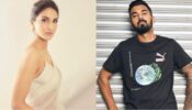 Vaani Kapoor stabs hearts in sensuous white transparent saree, cricketer KL Rahul showers love