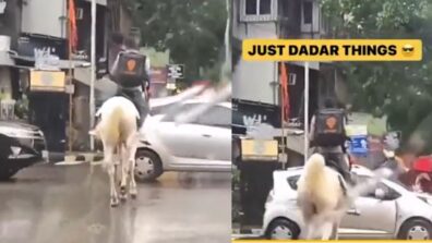 Watch A Delivery Man Dropping Off Orders While Riding A Horse