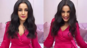 Watch: Shehnaaz Gill oozes like barbie doll in pink wrap dress, plays with rose petals on her cosy bed