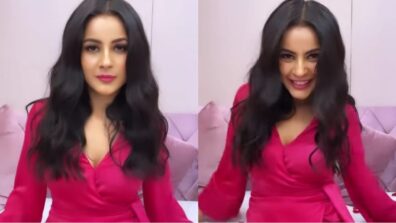 Watch: Shehnaaz Gill oozes like barbie doll in pink wrap dress, plays with rose petals on her cosy bed