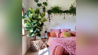 You Can Add These Plants To Your Bedroom For The Decor