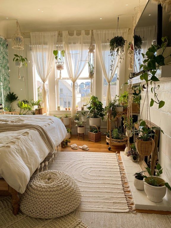 You Can Add These Plants To Your Bedroom For The Decor - 1