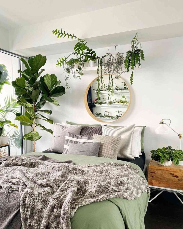 You Can Add These Plants To Your Bedroom For The Decor - 2