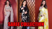 5 Times Madhuri Dixit Swooned Our Hearts With Her Gorgeous Saree Collection