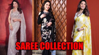 5 Times Madhuri Dixit Swooned Our Hearts With Her Gorgeous Saree Collection