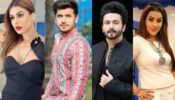 Jhalak Dikhhla Jaa 10 Confirmed Participants: From Nia Sharma, Paras Kalnawat, Dheeraj Dhoopar to Shilpa Shinde, all ready to put their dance feet forward