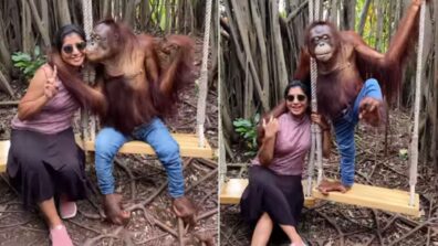 Viral Update: A Chimpanzee In Jeans Kisses Woman On Cheek And Hugs Her Warmly