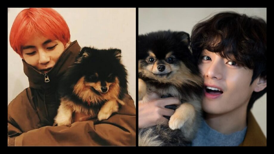 BTS V Aka Taehyung And Yeontan's Cutest Moments Together 670584