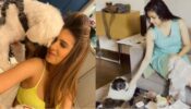 So Adorable: Tara Sutaria and Keerthy Suresh’s pawsome moments with their doggos are to cherish