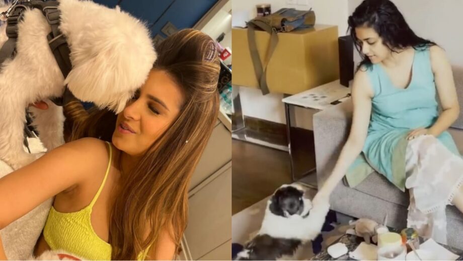 So Adorable: Tara Sutaria and Keerthy Suresh’s pawsome moments with their doggos are to cherish 676940