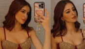 Ananya Panday’s Smoking Hot Mirror Selfie In Her Coka 2.0 Look Has Gained Attention