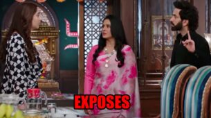 Bade Achhe Lagte Hain 2: Priya exposes Nandini in front of Ram