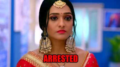 Bhagya Lakshmi: Lakshmi to get arrested