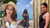 Bhojpuri Sensation Monalisa Grooving On The Beats Of Aafat: Check Out