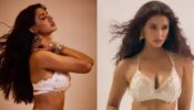 B*ld Video: Disha Patani is a ‘ball of fire’ in white bralette and shimmery skirt, fans sweat seeing curves