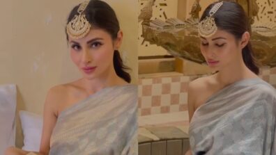 Can’t Resist Mouni Roy’s Stellar Looks In Grey Kanjivaram Saree